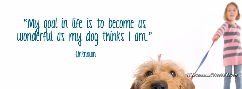 Wonderful Dog Pictures