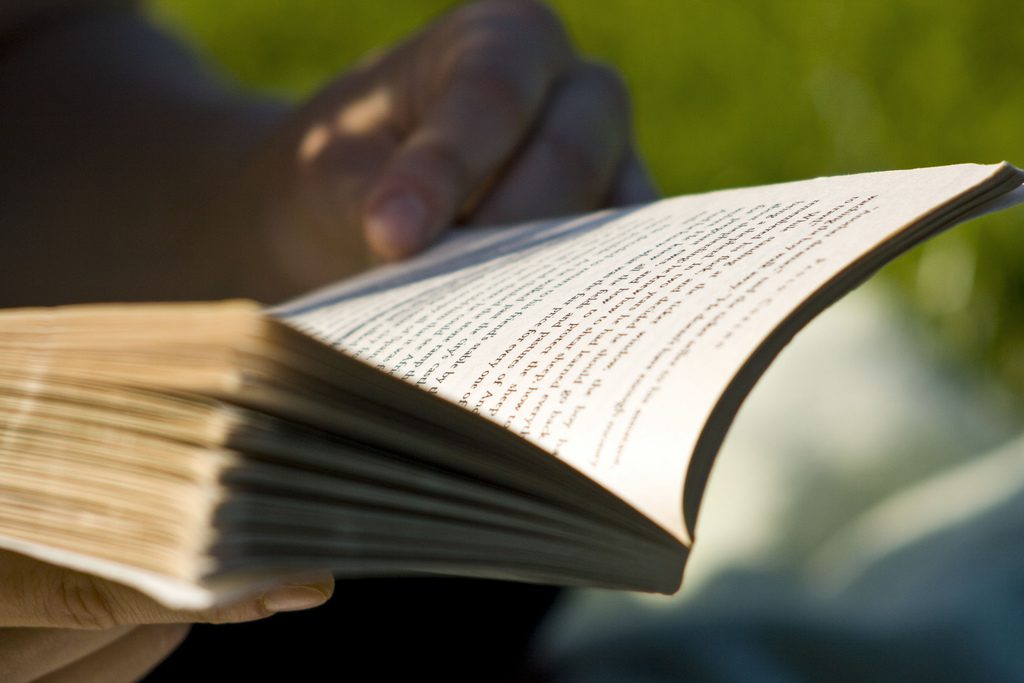 leitura, livros, lendo
