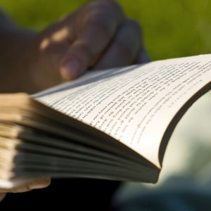 leitura, livros, lendo