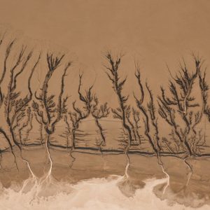 Where Water Once Flowed