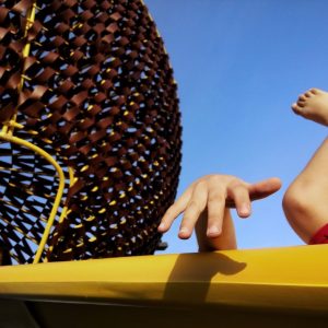 14º concurso anual de fotografia smithsonian