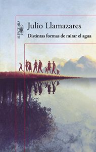 Descargar Distintas formas de mirar el agua pdf, epub, ebook