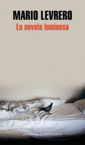 Descargar La novela luminosa pdf, epub, ebook