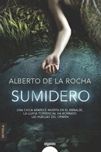 Descargar Sumidero (Algaida Literaria – Algaida Narrativa) pdf, epub, ebook