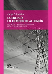 Descargar La energía en tiempos de Alfonsín: Innovación, planificación estratégica, obras y autoabastecimiento pdf, epub, ebook