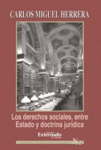 Descargar Los derechos sociales entre estado y doctrina jurídica pdf, epub, ebook