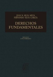 Descargar Derechos fundamentales: Bases para la reconstrucción de la jurisprudencia mexicana (Biblioteca Jurídica Porrúa) pdf, epub, ebook
