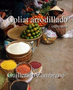Descargar Goliat arrodillado pdf, epub, ebook