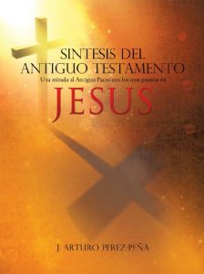 Descargar SINTESIS DEL ANTIGUO TESTAMENTO: Una mirada al Antiguo Pacto con los ojos puestos en Jesus pdf, epub, ebook