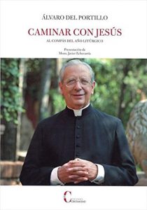 Descargar Caminar con Jesús: Al compás del año litúrgico pdf, epub, ebook