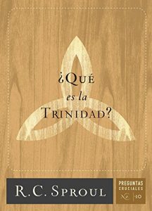 Descargar ¿Qué es la Trinidad?: 6 (Crucial Questions Series) pdf, epub, ebook