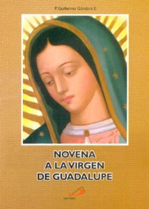 Descargar NOVENA A LA VIRGEN DE GUADALUPE pdf, epub, ebook