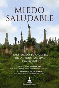 Descargar Miedo Saludable: Transformar tu angustia por la transitoriedad y la muerte pdf, epub, ebook