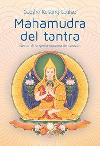 Descargar Mahamudra del tantra: Néctar de la gema suprema del corazón pdf, epub, ebook