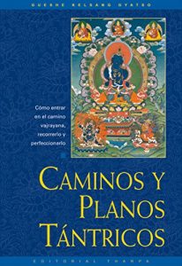 Descargar Caminos y planos tántricos: Cómo entrar en el camino vajrayana, recorrerlo y perfeccionarlo pdf, epub, ebook