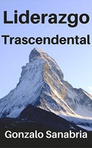 Descargar Liderazgo trascendental: ¿Cómo desarrollar un liderazgo efectivo? pdf, epub, ebook
