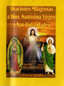 Descargar Oraciones Milagrosas a Dios, Santí­sima Virgen y San Judas Tadeo pdf, epub, ebook