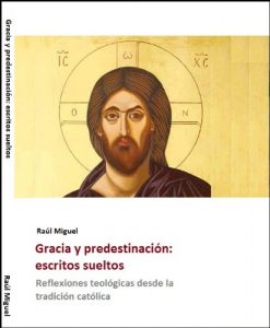 Descargar Gracia y predestinación: Escritos desde la tradición católica (Teología y filosofía nº 1) pdf, epub, ebook