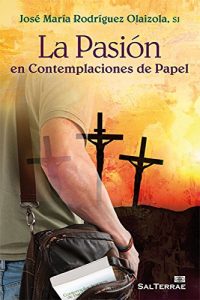 Descargar LA PASIÓN EN CONTEMPLACIONES DE PAPEL (El Pozo de Siquem) pdf, epub, ebook