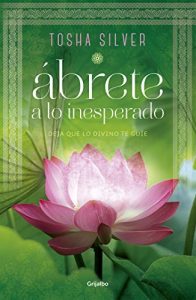 Descargar Ábrete a lo inesperado: Deja que lo divino te guíe pdf, epub, ebook