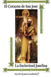 Descargar El Corazón de San José pdf, epub, ebook