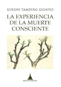 Descargar La experiencia de la muerte consciente pdf, epub, ebook