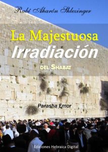 Descargar La Majestuosa Irradiación del Shabat (La Parashá en profundidad) pdf, epub, ebook