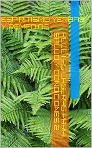 Descargar RECETAS CASERAS PARA SALUD Y CONDICIONES 2: ESPIRITISMO YERBAS Y REMEDIOS pdf, epub, ebook