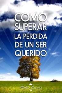 Descargar Como Superar la Pérdida de un Ser Querido pdf, epub, ebook