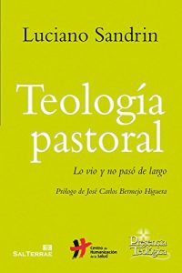 Descargar TEOLOGÍA PASTORAL. Lo vio y no pasó de largo (Presencia Teológica) pdf, epub, ebook