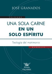 Descargar Una sola carne en un solo espíritu: 34 (Pelícano) pdf, epub, ebook