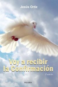 Descargar Voy a recibir la Confirmación (dBolsillo MC) pdf, epub, ebook