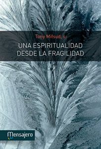 Descargar UNA ESPIRITUALIDAD DESDE LA FRAGILIDAD pdf, epub, ebook