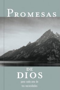 Descargar Promesas de Dios: Para Cada Una de Sus Necesidades pdf, epub, ebook