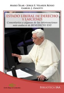 Descargar Estado Liberal de Derecho y Laicidad (Biblioteca Instituto Acton nº 7) pdf, epub, ebook