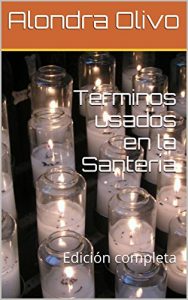 Descargar Términos usados en la Santería: Edición completa pdf, epub, ebook