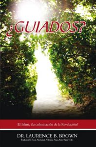 Descargar ¿GUIADOS? pdf, epub, ebook