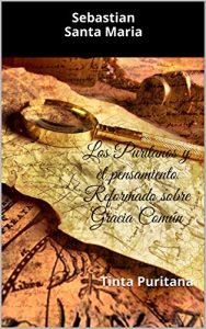 Descargar Los Puritanos y el pensamiento Reformado sobre Gracia Común: Tinta Puritana pdf, epub, ebook