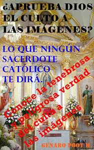 Descargar ¿APRUEBA DIOS EL CULTO A LAS IMÁGENES?: Lo que ningún sacerdote católico te dirá (Evangelismo y Discipulado nº 3) pdf, epub, ebook