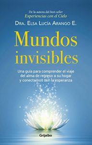 Descargar Mundos invisibles: Una guía para comprender el viaje del alma de regreso a su hogar y contactarnos pdf, epub, ebook