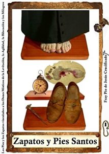 Descargar Zapatos y Pies Santos pdf, epub, ebook