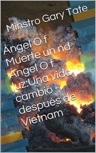 Descargar Ángel O f Muerte un nd Ángel O f luz:Una vida cambió después de Vietnam pdf, epub, ebook