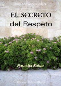 Descargar El Secreto del Respeto (La Parashá en profundidad) pdf, epub, ebook