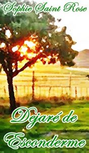 Descargar Dejaré de esconderme pdf, epub, ebook