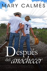 Descargar Después del anochecer pdf, epub, ebook