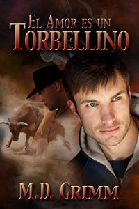 Descargar El amor es un torbellino (Los cambiantes nº 2) pdf, epub, ebook