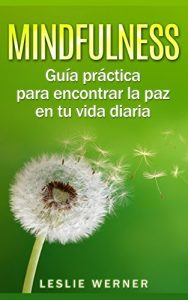 Descargar Mindfulness: Guía práctica para encontrar la paz en tu vida diaria pdf, epub, ebook