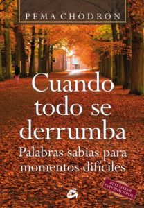 Descargar Cuando todo se derrumba: Palabras sabias para momentos difíciles (Budismo) pdf, epub, ebook