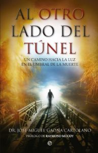 Descargar Al otro lado del túnel (Psicologia Y Salud (esfera)) pdf, epub, ebook
