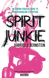 Descargar Spirit Junkie pdf, epub, ebook